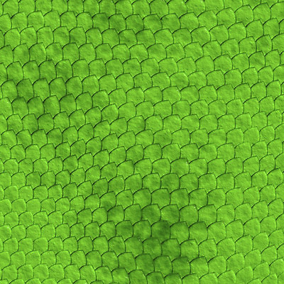 포토 JPG 해외이미지 동물 디자인 백그라운드 패턴 파충류 추상 저울 사람없음 유행 직물 뱀 인쇄 가죽 피부 질감 도마뱀 해외202004 해외포토 무늬 신체부위 파일형식 이미지허브