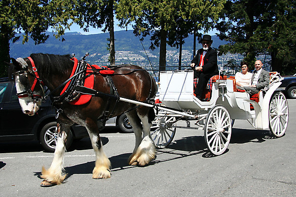 포토 JPG 해외이미지 전통 공원 여행 캐나다 교통시설 영국 사람없음 여행객 카트 도시 콜롬비아 마차 방법 벤쿠버 서쪽 해외202004 해외포토 공공시설 유럽 교통수단 교통 북아메리카 사람 남아메리카 방향 시설 파일형식 이미지허브