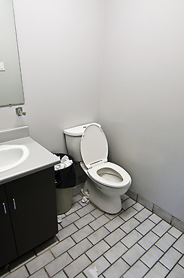 포토 JPG 해외이미지 실내 사람없음 세로 사무실 방 욕실 쓰레기통 흰색 업무 싱크대 화장실 변기 변기통 해외202004 해외포토 컬러 비즈니스 내부 작업 개수대 파일형식 이미지허브