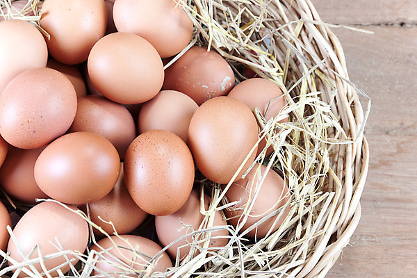 포토 JPG 해외이미지 모양 동물 사람없음 목재 컬러풀 갈색 바구니 흰색 밀짚 등나무 해외202004 해외포토 나무 컬러 재료 짚 파일형식 이미지허브