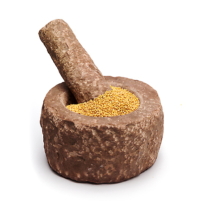 포토 JPG 해외이미지 사람없음 흰색 낟알 향신료 절구 겨자씨 절구방아 해외202004 해외포토 컬러 씨앗 도구 향미료 파일형식 이미지허브