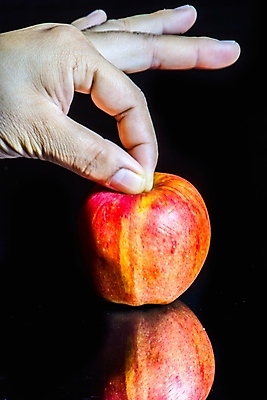 포토 JPG 해외이미지 손 음식 백그라운드 잎 다이어트 과일 자연 디저트 건강 선물 사람없음 빨간색 흰색 맛 사과 오브젝트 유기농 슛 부드러움 내추럴 바이오 생태학 채식주의자 해외202004 해외포토 식물 웰빙 교육 컬러 컨셉 신체부위 감각 생태계 채식 파일형식 이미지허브