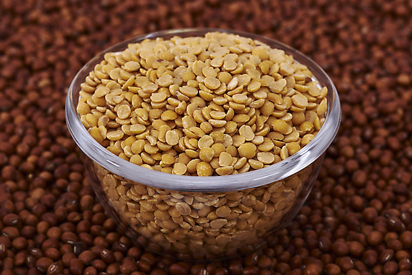 포토 JPG 해외이미지 식물 음식 농업 재료 건조 건강 씨앗 동양인 사람없음 빨간색 가득함 날것 내추럴 단백질 식용 원자재 인기 채식주의자 세련 해외202004 해외포토 산업 컬러 인종 채식 영양소 파일형식 이미지허브