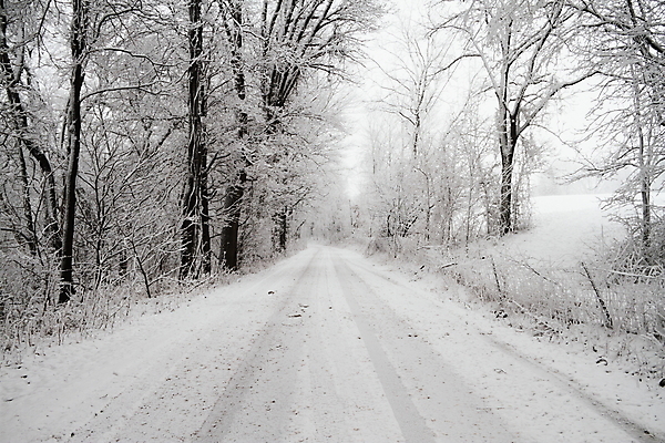 포토 JPG 해외이미지 나무 계절 도로 길 여행 겨울 자연 날씨 풍경 사람없음 야외 목재 냉동 얼음 추위 흰색 시골 숲 12월 서리 트랙 장면 눈보라 1월 눈내림 해외202004 해외포토 자연요소 식물 컬러 재료 교통시설 눈_날씨 날짜 생태계 파일형식 이미지허브