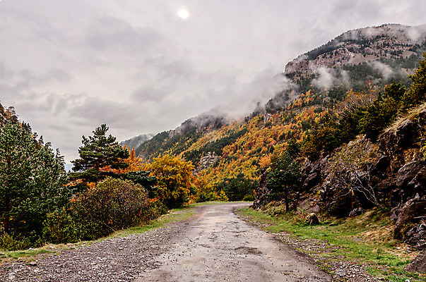 포토 JPG 해외이미지 구름 응시 계절 공원 유럽 백그라운드 잎 오렌지 자연 하늘 산 그림자 풍경 사람없음 야외 빨간색 초록색 파란색 빛 컬러풀 환경 가을 스페인 숲 땅 언덕 아라곤 내추럴 해외202004 해외포토 자연요소 식물 시선 공공시설 나라 컬러 과일 생태계 파일형식 이미지허브
