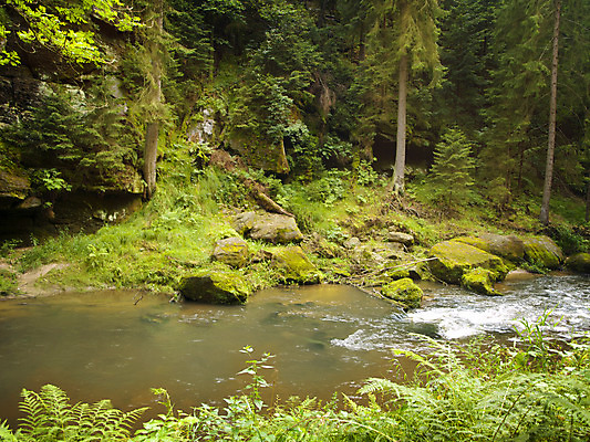 포토 JPG 해외이미지 나무 공원 모션 자연 풍경 사람없음 야외 목재 초록색 물 여름 강 환경 흐름 바위 개울 황무지 숲 삼림지대 그리너리 해외202004 해외포토 자연요소 식물 계절 공공시설 컬러 컨셉 재료 돌_바위 생태계 파일형식 트랜드컬러 이미지허브