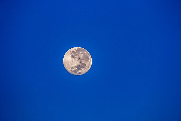 포토 JPG 해외이미지 과학 백그라운드 자연 하늘 표면 사람없음 파란색 빛 우주 검은색 어둠 새벽 행성 인공위성 보름달 달 원형 야간 신비 달빛 가득함 묘사 코스모스 점성술 분화구 천문학 궤도 빛망울 고립 광 여의주 디테일 해외202004 해외포토 자연요소 도형 교육 꽃 컬러 컨셉 통신 생태계 화산 파일형식 이미지허브