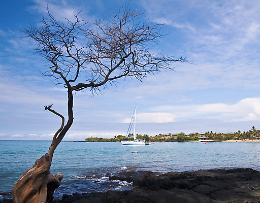 포토 JPG 해외이미지 나무 구름 모래 파도 바다 섬 여행 하늘색 휴가 휴식 항해 따뜻함 손바닥 풍경 사람없음 목재 초록색 물 파란색 여행객 꿈 만 뜨거움 탈출 하와이 태평양 이국적 터키석 파라다이스 수평선 해외202004 해외포토 자연요소 식물 손 컬러 컨셉 배_교통 재료 사람 미국 보석 파일형식 이미지허브