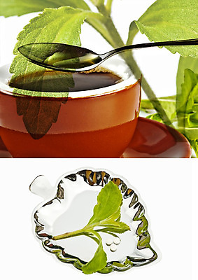 포토 JPG 해외이미지 식물 다이어트 재료 새로움 건강 사람없음 초록색 알약 주방 최고 달콤 설탕 수집 허브 당뇨병 돌봄 저칼로리 지원 해외202004 해외포토 컬러 컨셉 모션 약 맛 질병 파일형식 이미지허브