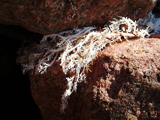 포토 JPG 해외이미지 바다 이집트 사람없음 사막 해외202004 해외포토 아프리카 파일형식 이미지허브