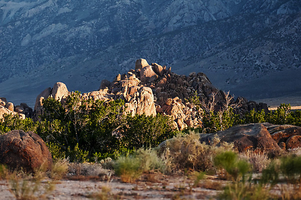 포토 JPG 해외이미지 공원 여행 오렌지 자연 산 건조 풍경 사람없음 야외 갈색 일출 계곡 미국 하이킹 사막 소나무 황무지 고독 언덕 아치 캘리포니아 먼지 동쪽 내추럴 서쪽 울퉁불퉁 화강암 해외202004 해외포토 나무 공공시설 감정 컬러 북아메리카 과일 레저 노을 암석 방향 생태계 파일형식 이미지허브