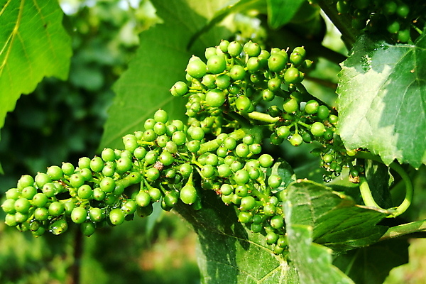 포토 JPG 해외이미지 사람없음 해외202004 해외포토 파일형식 이미지허브