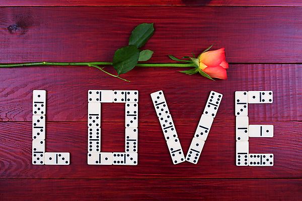 포토 JPG 해외이미지 꽃 선 조각 백그라운드 컨셉 아이디어 실내 사랑 서기 사람없음 단어 장미 침묵 가을 게임 흰색 그룹 떨어짐 위험 심볼 타일 오브젝트 도미노 반응 줄서기 취급주의 해외202004 해외포토 식물 문자 계절 감정 컬러 모션 놀이 경고 내부 소리 파일형식 이미지허브