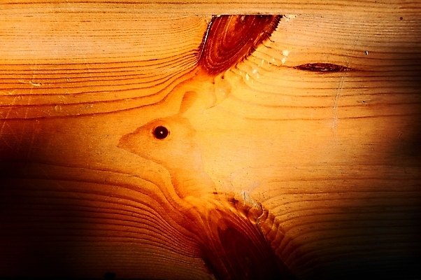 포토 JPG 해외이미지 나무 디자인 벽 가구 백그라운드 패턴 자연 탁자 표면 추상 바닥 주택 프레임 사람없음 목재 장식 빨간색 갈색 어둠 줄무늬 수확 소나무 판넬 거친 널 낟알 책상 묘사 질감 복고 매듭 목공예 결 잡동사니 내추럴 구식 그런지 수목 옛날 해외202004 해외포토 식물 컬러 생활용품 무늬 농업 재료 건물 공예 생태계 파일형식 이미지허브