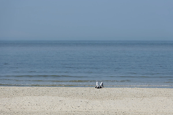 포토 JPG 해외이미지 캐릭터 모래 파도 바다 백그라운드 자연 휴식 사람 사람없음 야외 가로 물 여름 숫자 우주 침묵 서핑 큼 버리기 명상 싱글 발목 거짓말 고립 엘리먼트 혼자 해외202004 해외포토 자연요소 문자 계절 컨셉 모션 발 소리 수상스포츠 크기 생태계 파일형식 이미지허브