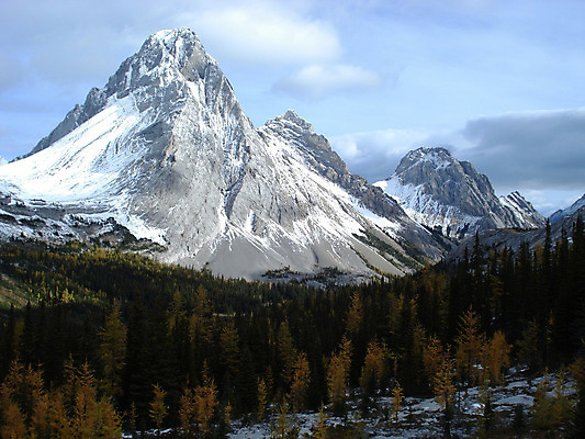 포토 JPG 해외이미지 나무 하늘 산 사람없음 파란색 절벽 가을 정상 숲 절정 로키산맥 해외202004 해외포토 식물 계절 컬러 파일형식 이미지허브