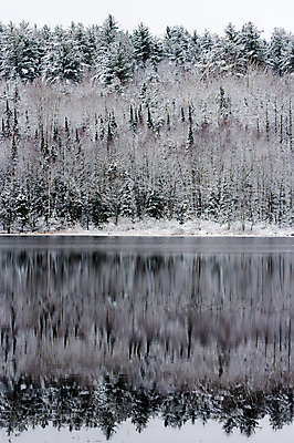 포토 JPG 해외이미지 나무 호수 겨울 자연 아침 사람없음 야외 물 강 반사 평화 환경 침묵 추위 흰색 나뭇가지 시골 신선 황무지 숲 11월 속도 침엽수 흐림 야광 내추럴 삼림지대 해외202004 해외포토 주간 자연요소 식물 계절 컬러 컨셉 날씨 빛 소리 날짜 생태계 파일형식 이미지허브
