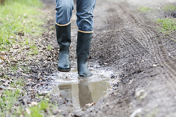 포토 JPG 해외이미지 라이프스타일 남자 도로 길 농업 자연 부츠 서기 사람 성인 사람없음 야외 물 농작물 농장 농경지 반사 버섯 흙 거울 시골 쌍 농부 숲 땅 수집 진흙 고무 방법 밭일 조작 해외202004 해외포토 자연요소 직업 산업 신발 교통시설 모션 생활 생태계 파일형식 이미지허브