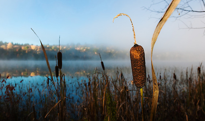 포토 JPG 해외이미지 나무 호수 잎 하늘 아침 사람없음 물 파란색 평화 일출 항구 맑음 수영 침묵 새벽 안개 가을 황무지 습지 숲 신비 속도 초대 깊이 뿌연 해외202004 해외포토 주간 자연요소 식물 계절 컬러 컨셉 교통시설 날씨 노을 소리 수상스포츠 파일형식 이미지허브