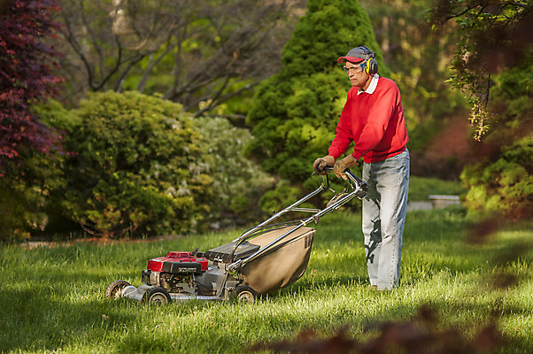 포토 JPG 해외이미지 식물 남자 한명 사람 잔디 야외 초록색 정원 봄 장비 성장 업무 재산 자르기 서비스 원예 조경 손질 모터 다듬기 뒤뜰 해외202004 해외포토 1 계절 컬러 모션 취미 금융 작업 파일형식 이미지허브