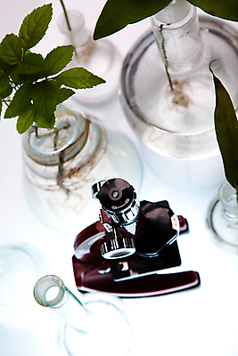 포토 JPG 해외이미지 식물 실내 현미경 실험 사람없음 액체 화학 실험실 플라스크 흰배경 비커 화학실험 해외202004 해외포토 과학 백그라운드 실험기구 내부 흰색 파일형식 이미지허브