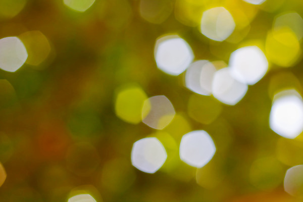 포토 JPG 해외이미지 디자인 행복 별 분홍색 일러스트 사람없음 장식 빨간색 빛 반짝임 노란색 검은색 화려 우아함 소프트포커스 보케 빛망울 해외202004 해외포토 자연요소 감정 컬러 컨셉 모션 촬영기법 파일형식 이미지허브