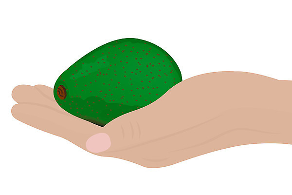 포토 JPG 해외이미지 식물 아이콘 전통 손 디자인 음식 백그라운드 패턴 농업 다이어트 채소 과일 일러스트 자연 건강 요리 사람없음 그래픽 초록색 세트 컬러풀 농장 식사 흰색 신선 시장 상품 오브젝트 유기농 아보카도 내추럴 고립 밭일 수입 영양분 이국적 채식주의자 비건 해외202004 해외포토 웰빙 산업 컬러 무늬 신체부위 생태계 채식 파일형식 이미지허브