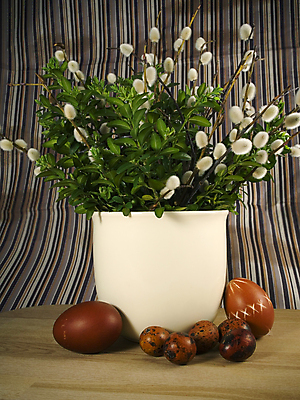 포토 JPG 해외이미지 나무 식물 계절 화분 포옹 부활절 사람없음 초록색 계란 검은색 봄 벚꽃 흰색 나뭇가지 막대기 은색 다발 버드나무 싱글 제비 고립 많음 해외202004 해외포토 기념일 꽃 컬러 컨셉 안기 조류 알 파일형식 이미지허브