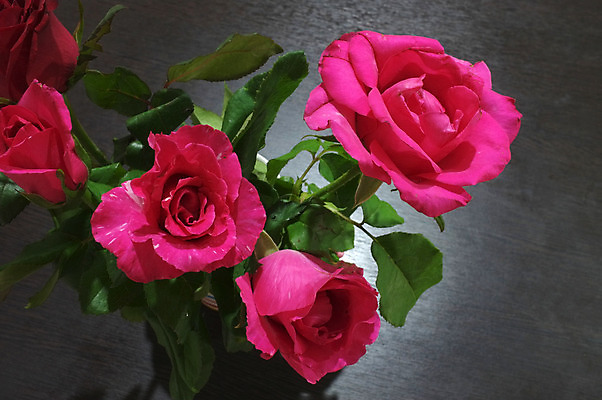 포토 JPG 해외이미지 식물 기념일 꽃잎 꽃 분홍색 꽃다발 결혼 백그라운드 꽃무늬 패턴 데이트 자연 결혼식 휴가 발렌타인데이 선물 사랑 사람없음 장식 빨간색 장미 축제 활발 벚꽃 축하 인사 신선 신용카드 생일 개화 의식 달콤 이슬 다발 오브젝트 향기 열정 해외202004 해외포토 감정 컬러 컨셉 무늬 데이이벤트 이벤트 금융 예절 맛 생태계 냄새 파일형식 이미지허브