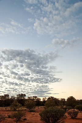 포토 JPG 해외이미지 나무 식물 실루엣 모래 여행 오렌지 자연 하늘 휴가 건조 풍경 사람없음 야외 빨간색 초록색 여름 파란색 컬러풀 태양 여행객 환경 봄 사막 뜨거움 황무지 호주 아래 언덕 영토 먼지 북쪽 고립 오지 수평선 해외202004 해외포토 자연요소 계절 컬러 과일 촬영기법 사람 오세아니아 방향 생태계 위치 파일형식 이미지허브
