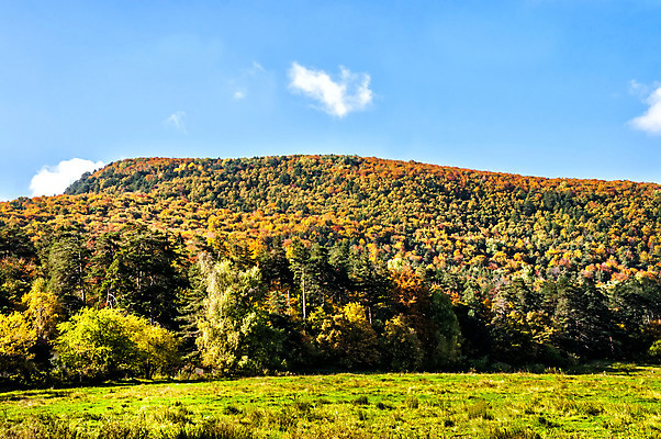 포토 JPG 해외이미지 나무 식물 구름 계절 공원 여행 백그라운드 잎 오렌지 자연 하늘 산 풍경 사람없음 야외 빨간색 초록색 파란색 빛 햇빛 노란색 침묵 활발 가을 시골 신선 숲 9월 언덕 장면 10월 내추럴 멀티 삼림지대 웅장함 해외202004 해외포토 자연요소 공공시설 컬러 컨셉 과일 태양 소리 날짜 생태계 파일형식 이미지허브