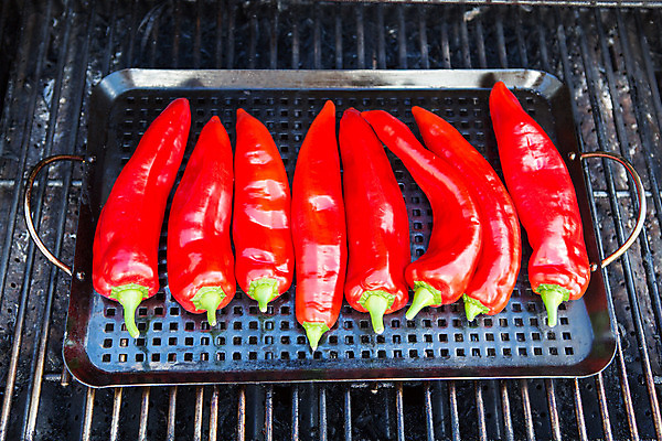 포토 JPG 해외이미지 라이프스타일 음식 채소 고추 불 건강 육류 요리 사람없음 야외 빨간색 컬러풀 식사 뜨거움 그릴 바비큐 굽기 허브 향신료 준비 매움 머리위 후추 무침 점심식사 채식주의자 비건 해외202004 해외포토 자연요소 식물 컬러 식재료 주방용품 생활 맛 구이 채식 향미료 파일형식 이미지허브