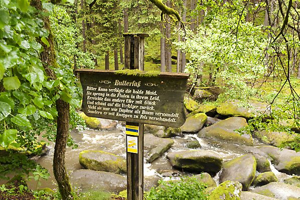 포토 JPG 해외이미지 나무 여행 자국 자연 산 독일 이끼 풍경 사람없음 목재 강 시골 개울 숲 언덕 그림 암초 내추럴 산악지대 보호구역 화강암 바이에른 해외202004 해외포토 식물 유럽 재료 암석 생태계 구역 파일형식 이미지허브