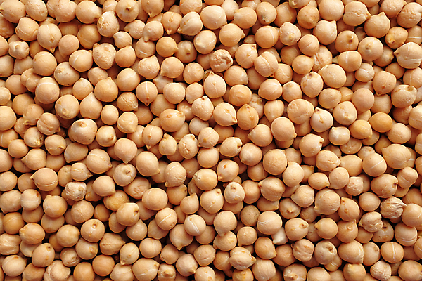 포토 JPG 해외이미지 음식 백그라운드 재료 추상 콩 건강 사람없음 질감 날것 건강식 단백질 병아리콩 해외202004 해외포토 무늬 곡류 영양소 파일형식 이미지허브