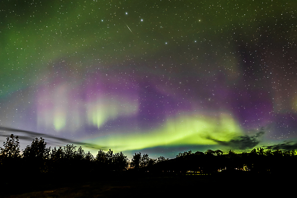 포토 JPG 해외이미지 별 여행 겨울 자연 하늘 전등 아이슬란드 사람없음 초록색 빛 태양 우주 야간 북극 천문학 북쪽 오로라 해외202004 해외포토 자연요소 계절 교육 유럽 컬러 자연현상 조명 극지방 방향 생태계 파일형식 이미지허브