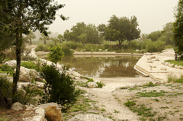 포토 JPG 해외이미지 나무 구름 도로 길 호수 모래 자연 하늘 부활절 그림자 풍경 사람없음 초록색 물 여름 야자수 햇빛 계곡 성경 사막 뜨거움 예수 가장자리 그늘 올리브 먼지 신성 오아시스 이스라엘 해외202004 해외포토 자연요소 식물 계절 기념일 열매 컬러 종교용품 교통시설 태양 신_종교 둘레 생태계 서아시아 파일형식 이미지허브