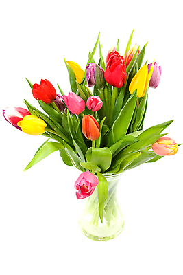 포토 JPG 해외이미지 식물 꽃 꽃다발 잎 전구 자연 유리 선물 사람없음 컬러풀 꽃병 봄 튤립 신선 생일 네덜란드 고립 해외202004 해외포토 계절 기념일 유럽 컬러 재질 생태계 파일형식 이미지허브