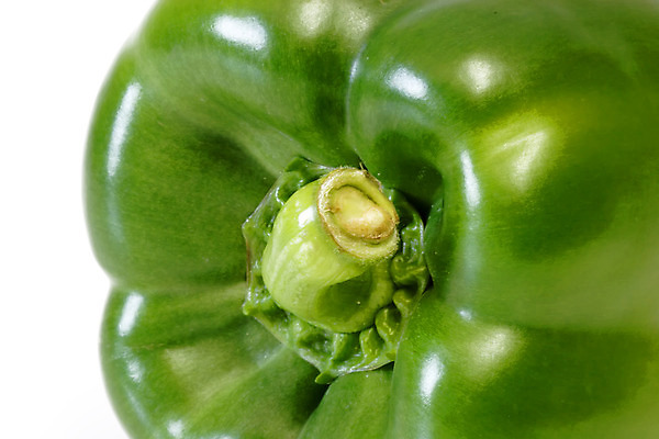 포토 JPG 해외이미지 식물 음식 줄기 백그라운드 농업 다이어트 채소 과일 재료 자연 건강 요리 사람없음 빨간색 초록색 주방 정원 식사 저녁식사 신선 닫기 맛 먹기 묘사 원예 후추 점심식사 구성 채식주의자 해외202004 해외포토 산업 컬러 컨셉 모션 취미 향신료 생태계 채식 파일형식 이미지허브