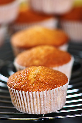 포토 JPG 해외이미지 사람없음 갈색 컵케이크 굽기 머핀 브라우니 페스츄리 해외202004 해외포토 빵 컬러 디저트 케이크 구이 파일형식 이미지허브