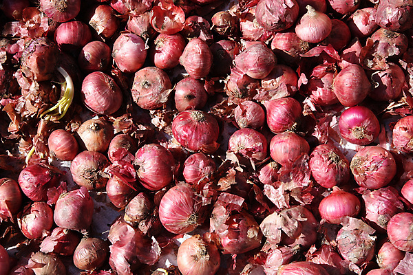 포토 JPG 해외이미지 잡화 음식 백그라운드 농업 채소 양파 요리 사람없음 빨간색 초록색 상점 시골 시장 질감 타운 해외202004 해외포토 산업 컬러 도시 파일형식 이미지허브