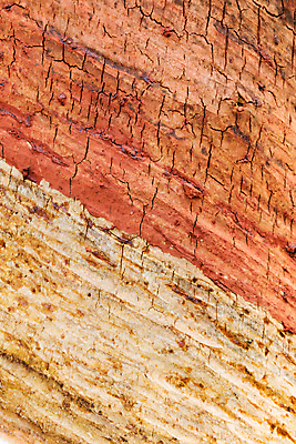 포토 JPG 해외이미지 나무 식물 디자인 산업 아시아 벽 백그라운드 패턴 농업 오렌지 태국 자연 벽지 표면 추상 사람없음 목재 빨간색 초록색 농장 갈색 흐름 성장 흰색 신선 거친 액체 사발 닫기 숲 자르기 묘사 질감 날것 고무 내추럴 라텍스 수목 옛날 해외202004 해외포토 나라 컬러 컨셉 무늬 과일 재료 모션 사기그릇 생태계 파일형식 이미지허브