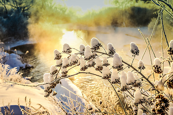 포토 JPG 해외이미지 나무 디자인 계절 공원 여행 백그라운드 크리스마스 겨울 자연 하늘 날씨 풍경 사람없음 야외 목재 파란색 빛 햇빛 태양 일출 맑음 냉동 얼음 일몰 새벽 추위 백발 흰색 나뭇가지 숲 12월 질감 서리 장면 북쪽 자작나무 1월 폭설 눈내림 해외202004 해외포토 자연요소 식물 헤어스타일 공공시설 기념일 컬러 재료 눈_날씨 노을 날짜 자연재해 방향 생태계 파일형식 이미지허브