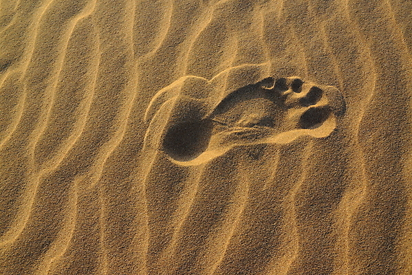 포토 JPG 해외이미지 길 모래 오렌지 아프리카 자연 건조 풍경 사람없음 야외 세로 여름 모래사장 햇빛 태양 걷기 우주 트래킹 사막 발자국 모래언덕 질감 모로코 단계 사하라 내추럴 루트 방법 선로 해외202004 해외포토 자연요소 계절 나라 바다 과일 자국 모션 레저 언덕 생태계 파일형식 이미지허브