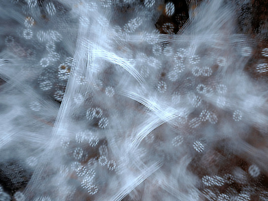 포토 JPG 해외이미지 모양 디자인 꽃 선 파도 백그라운드 컨셉 패턴 곡선 일러스트 모션 벽지 추상 미술 사람없음 그래픽 장식 빛 컬러풀 갈색 디지털 활발 회색 흐름 에너지 소용돌이 흰색 만족 질감 서식 역동적 강렬 발생 엘리먼트 혼란 스타일 효과 해외202004 해외포토 식물 감정 바다 컬러 무늬 문화예술 회오리 파일형식 이미지허브