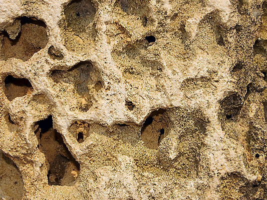 포토 JPG 해외이미지 모양 동물 바다 백그라운드 패턴 부분 자연 추상 생물 연체동물 나선형 사람없음 빛 껍질 흰색 점 화려 그룹 작음 오브젝트 부식 질감 과거 화석 고생물 선사시대 내추럴 석회암 앵무조개 옛날 지질학 해외202004 해외포토 교육 컬러 컨셉 무늬 조개 무척추동물 암석 역사 크기 생태계 파일형식 이미지허브