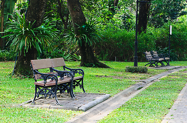 포토 JPG 해외이미지 나무 식물 계절 공원 가구 잎 벤치 의자 자연 휴식 잔디 사람없음 야외 초록색 여름 갈색 우주 정원 침묵 시골 우아함 오솔길 버리기 오브젝트 장면 일반 구식 스타일 해외202004 해외포토 공공시설 길 컬러 생활용품 컨셉 모션 소리 생태계 파일형식 이미지허브
