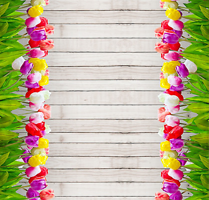 포토 JPG 해외이미지 디자인 계절 꽃잎 꽃 분홍색 꽃다발 백그라운드 잎 꽃무늬 텍스트 벽지 탁자 부활절 선물 사랑 사람없음 목재 빨간색 우주 봄 튤립 축하 인사 판넬 생일 4월 다발 제비꽃 엽서 해외202004 해외포토 나무 식물 기념일 감정 컬러 가구 컨셉 무늬 재료 예절 날짜 편지 파일형식 이미지허브