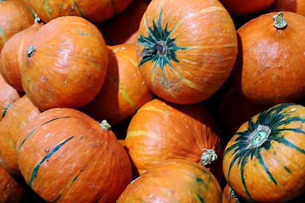 포토 JPG 해외이미지 모양 계절 백그라운드 잎 채소 오렌지 호박 휴가 3 미술 사람없음 목재 장식 빨간색 초록색 농작물 컬러풀 농장 노란색 바구니 보라색 축제 할로윈 수확 가을 축하 시장 농부 작음 양동이 심볼 캄보디아 박 추수감사절 10월 고립 밭일 포상금 해외202004 해외포토 나무 식물 직업 아시아 기독교 컬러 컨셉 돈 농업 과일 재료 문화예술 날짜 크기 파일형식 이미지허브