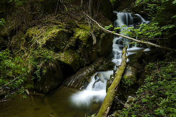 포토 JPG 해외이미지 유럽 길 여행 자국 자연 풍경 사람없음 야외 목재 초록색 물 여름 강 환경 골짜기 폭포 하이킹 흐름 바위 개울 숲 알프스 내추럴 슬로베니아 해외202004 해외포토 자연요소 나무 계절 나라 컬러 컨셉 재료 레저 돌_바위 생태계 파일형식 이미지허브