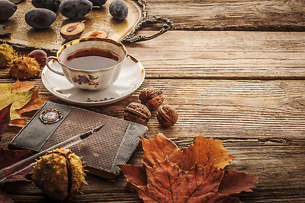 포토 JPG 해외이미지 계절 꽃 음식 백그라운드 단풍 잎 오렌지 과일 자연 탁자 쟁반 사람없음 목재 장식 컵 빨간색 펜 갈색 노란색 금속 보라색 공책 견과류 수확 가을 바위 황금 차 인쇄 필름 향수 판화 자두 놋쇠 서버 필터 효과 해외202004 해외포토 나무 식물 식기 음료 컬러 가구 농업 재료 재질 문구용품 미술 필기구 화장품 돌_바위 생태계 파일형식 이미지허브